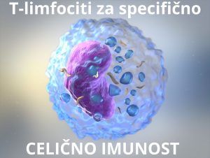 T-limfociti za specifično celično imunost in ALKIVITA Zapper Zaper Zaperino frekvenčna terapija