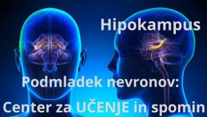 Nevrogeneza ali delitev nevronov -hipokampus Tesla-Zaper-Geo terapija Alkivita