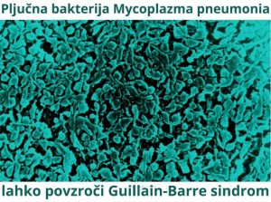 Bakterija Mycoplazma pneumonija povzroča pljučnico in Guillain-Barre sindrom PARALIZE